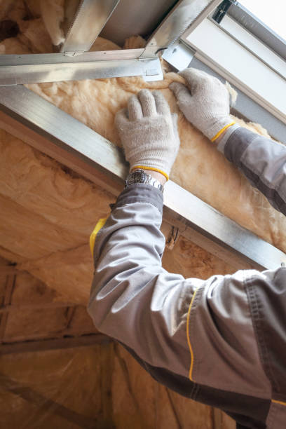 Best Geographic-Specific Insulation Services in Raoul, GA