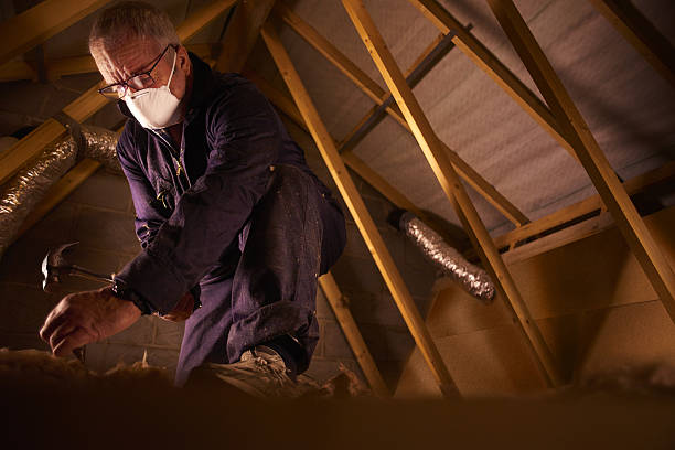 Best Commercial Insulation in Raoul, GA