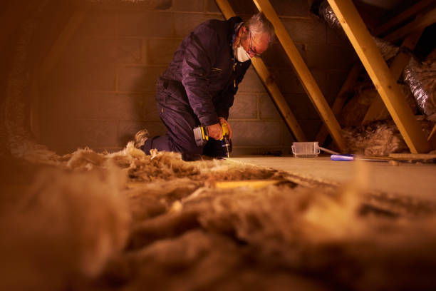 Trusted Raoul, GA Insulation Contractor Experts