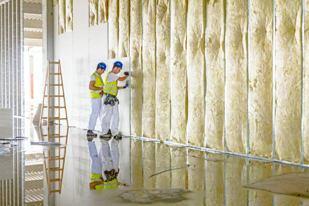 Best Residential Insulation in Raoul, GA